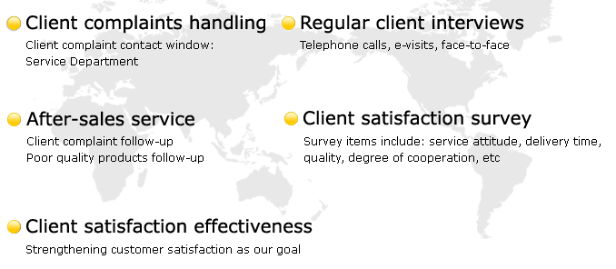 client-satisfaction-en.png